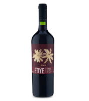 imagem de Vinho Foye Reserva Cabernet Sauvignon 750ml