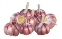 imagem de Alho Nacional Roxo Kg