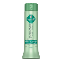 imagem de Shampoo Haskell Jaborandi 300ml